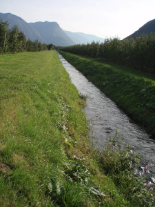 Buozzigraben-Auslauf2