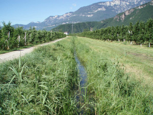 Kaltenbrunngraben