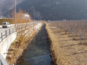 nesselgraben